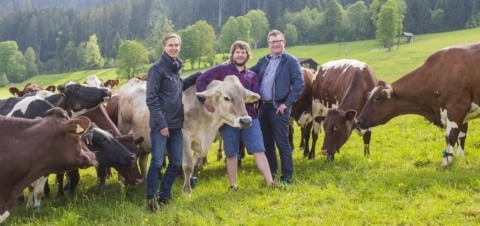 Bereits rund 12.000 Bauern nehmen am M-Rind Programm von McDonald’s Österreich, ARGE Rind und OSI Food Solutions teil und liefern bei Erfüllung hoher Qualitätsstandards Rindfleisch an den Systemgastronomie-Marktführer. Andreas Schmidlechner, Managing Dire