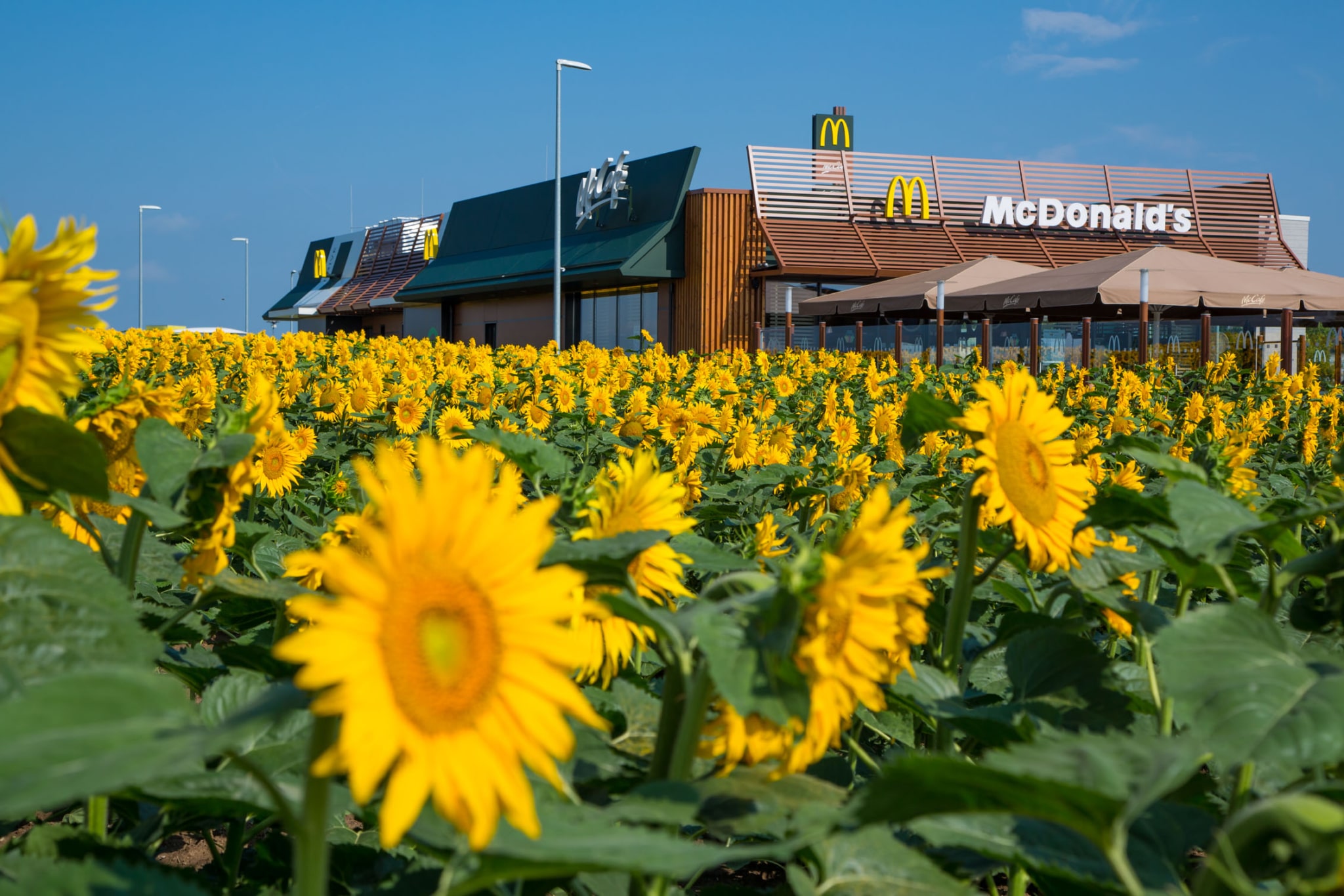 Isabelle Kuster, Managing Director von McDonald’s Österreich