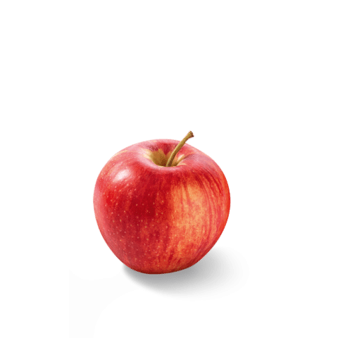 Bio Apfel