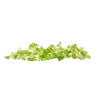 Eisbergsalat