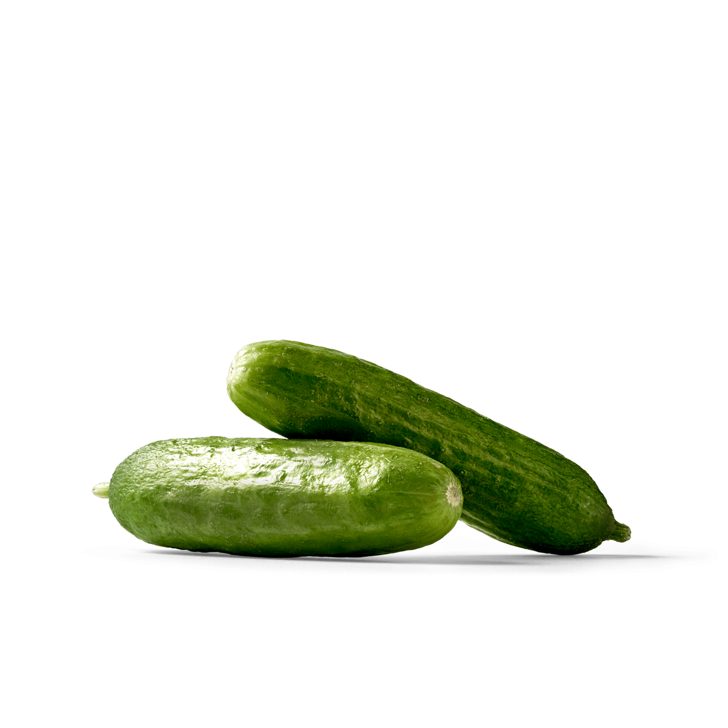 Zwei frische, grüne Gurken auf einem weißen Hintergrund