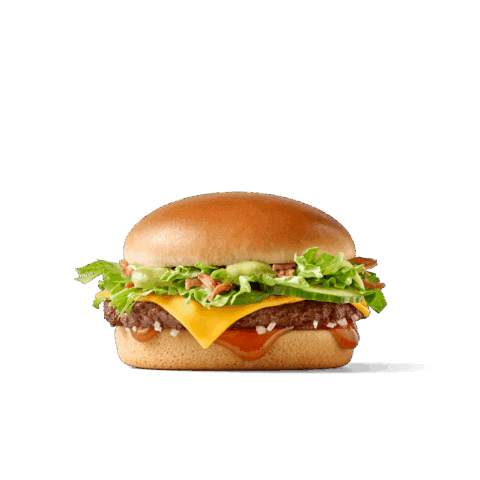 Burger mit 100 % österreichischem Rindfleisch, Schmelzkäse, Salat, frischer Gurke, Röstzwiebeln und einer würzigen Kombination aus Wasabi- und Teriyaki-Sauce.