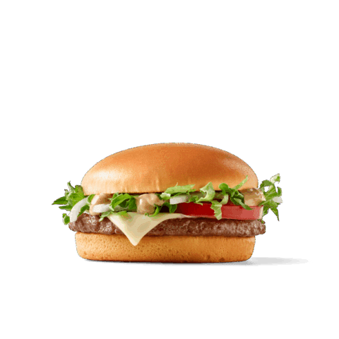 Saftiger Burger mit zartem Patty, frischem Salat, Tomaten, Zwiebeln und einer cremigen Sauce auf einem hellen Brötchen